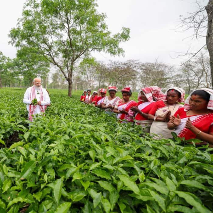 Prime Minister Narendra Modi interacts with Women tea workers in Dibrugarh