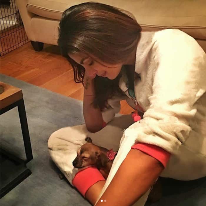 Priyanka Chopra shares a cute picture on Instagram