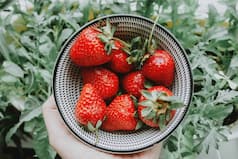 Discover 5 Surprising Health Benefits Of Eating Strawberries