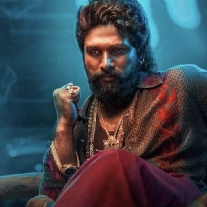 Pushpa 2  The Rule s worldwide box office collection