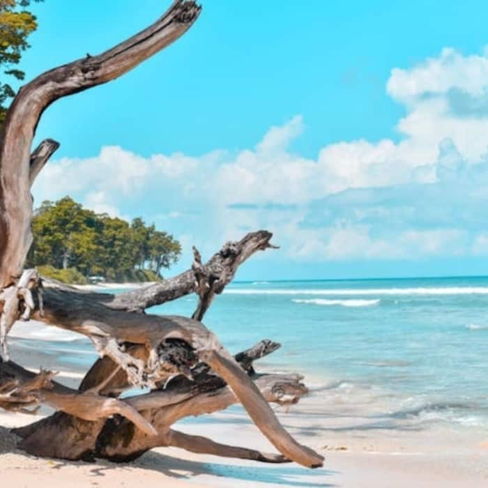 Radhanagar Beach in Havelock, Andaman and Nicobar Islands
