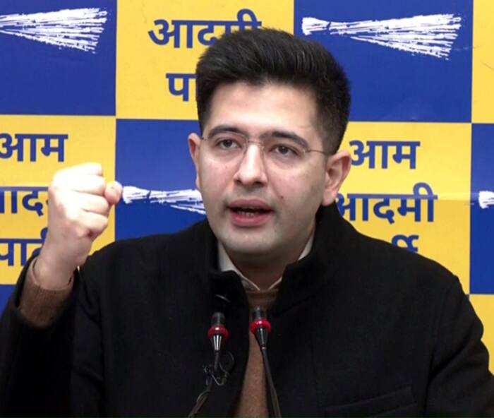 Lok Sabha Election 2024: Top Star Campaigners For AAP