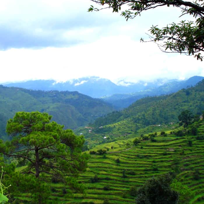 Ranikhet