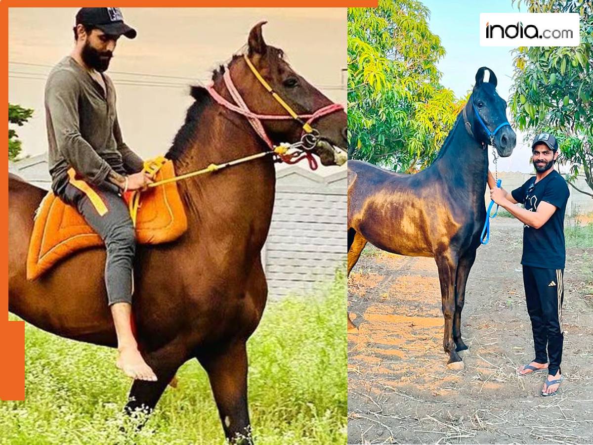 Ravidra Jadeja's horse collection: Look at his exclusive stable of rare ...