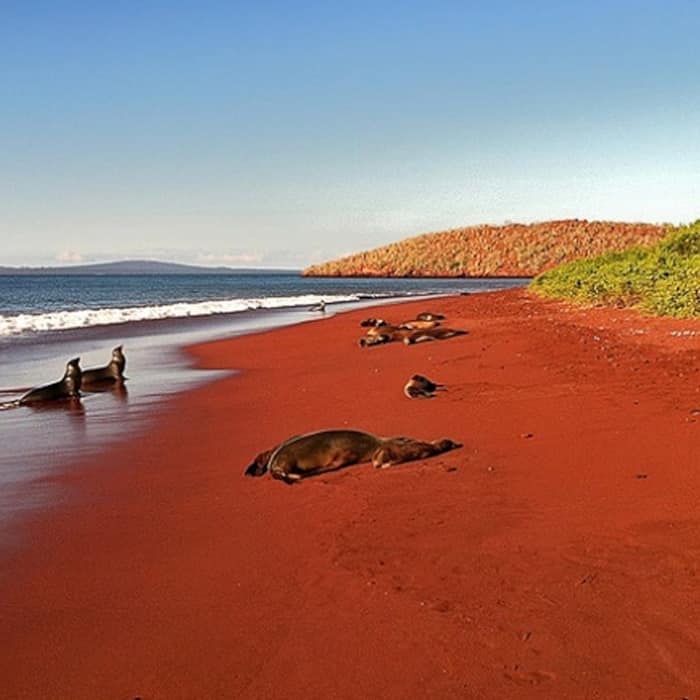Red Sand Beach located in Rabida  Galapagos