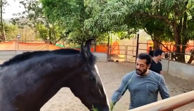 Salman Khan Eats Grass Along With His horse