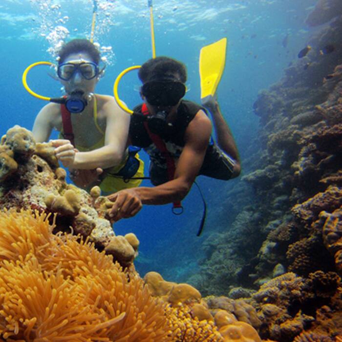 Scuba diving in the reefs of Lakshadweep