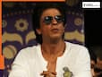 Shah Rukh Khan makes big move, makes Dhoni's teammate new coach of Knight Riders, name is...