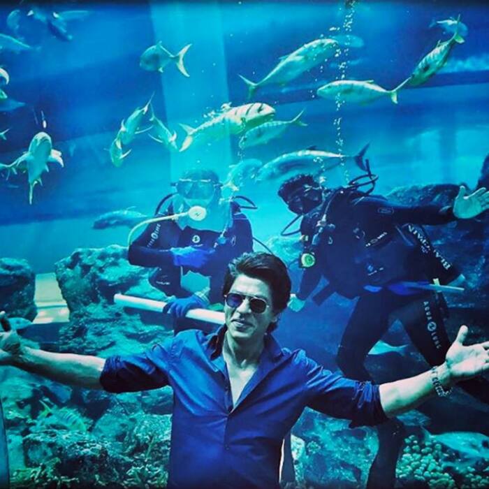 Shah Rukh Khan shares a picture on Instagram