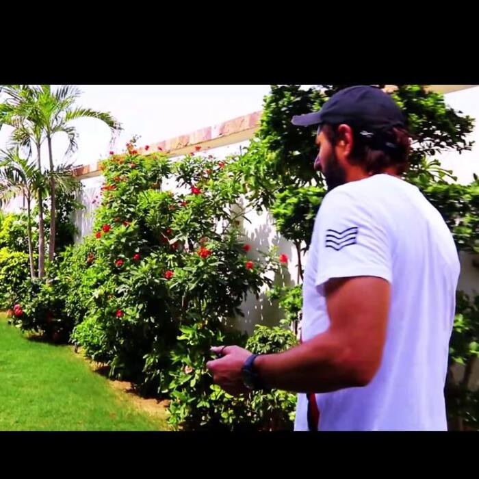 Inside look into royal home of Pakistan star cricketer Shahid Afridi