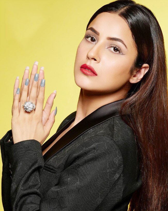 Shehnaaz Gill's Throwback Pic From Dabboo Ratnani Photoshoot Shehnaaz Gill's Throwback Pic From Dabboo Ratnani Photoshoot