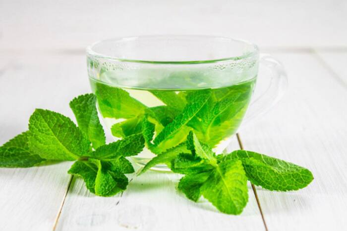 Spearmint Tea