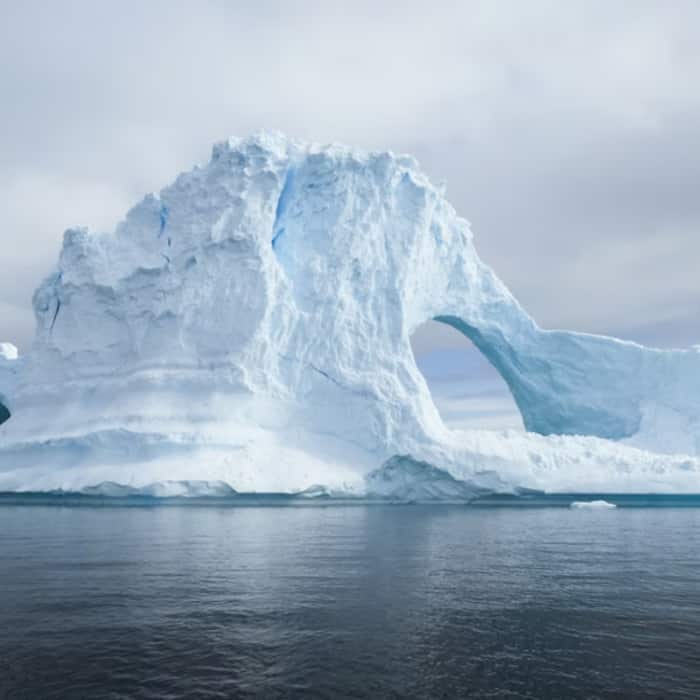The Antarctic Desert is the largest desert   5 5 million sq mi  and is a cold ice covered region 