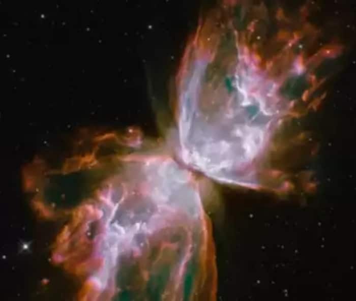 The butterfly nebula