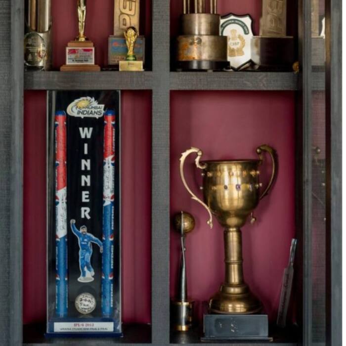 The Iconic    Den        A Tribute to Cricket