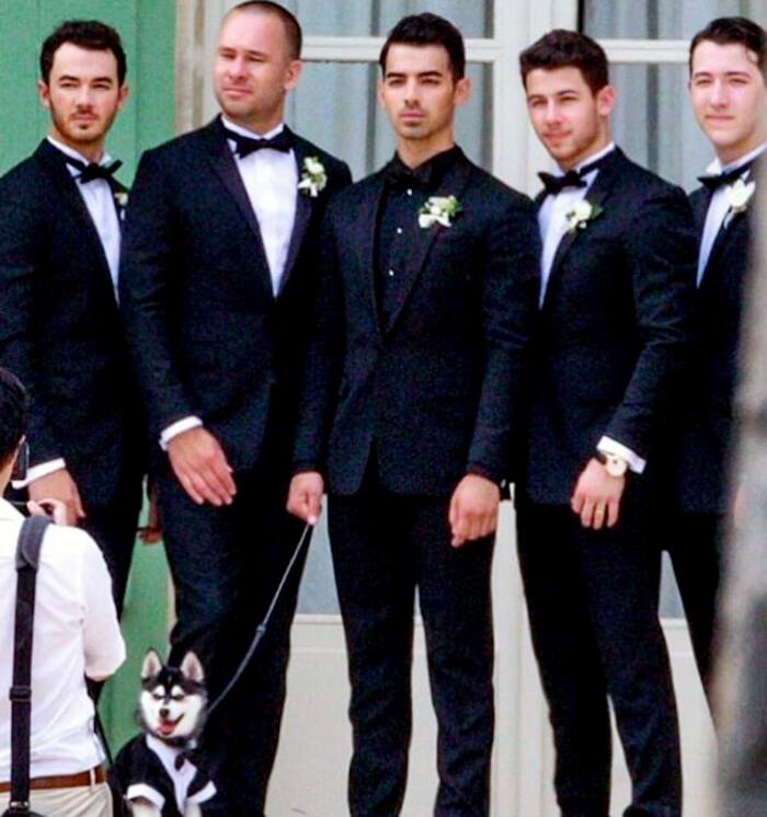 The Jonas Brothers