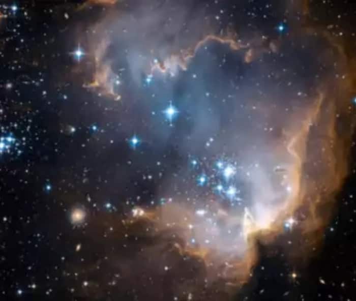 The star cluster