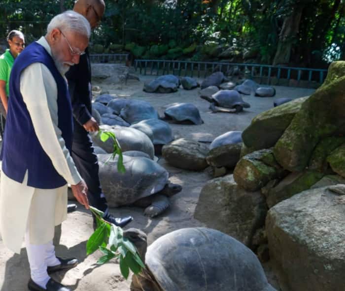 The story of the Aldabra giant tortoises gifted to India by Seychelles