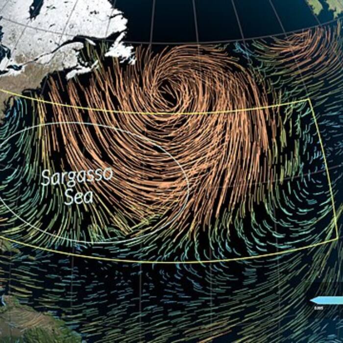 These include the Gulf Stream  North Atlantic Current  Canary Current  and North Equatorial Current   1 