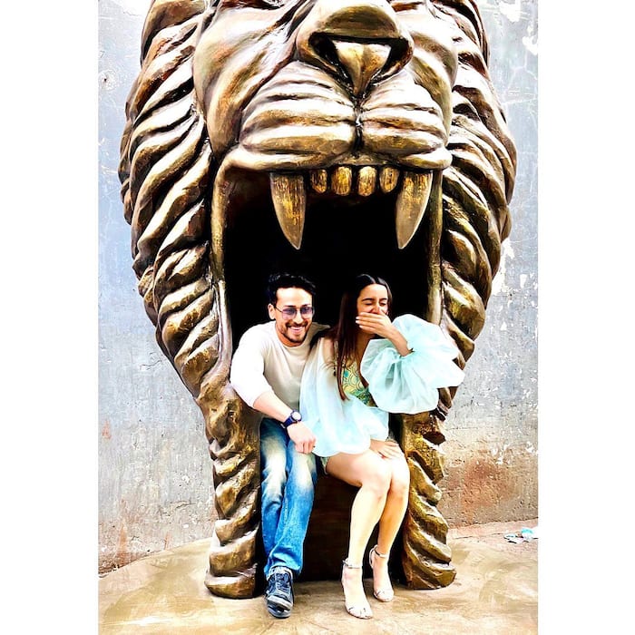 Tiger  lion and mermaid