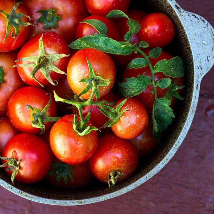 Tomatoes