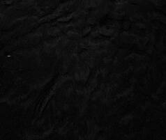 Top 10 Lowest Victory Margins In Lok Sabha Elections