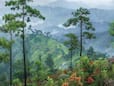 Top 7 Places To Visit During Monsoon in North East India