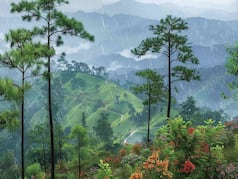 Top 7 Places To Visit During Monsoon in North East India