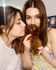 Kriti Sanon-Nupur Sanon Flood Internet With Cute Pictures of 'New Member' in Sanon Family
