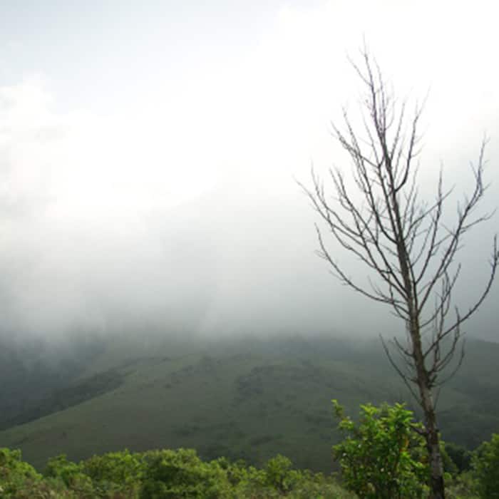Here are the places in India where you can travel during July!