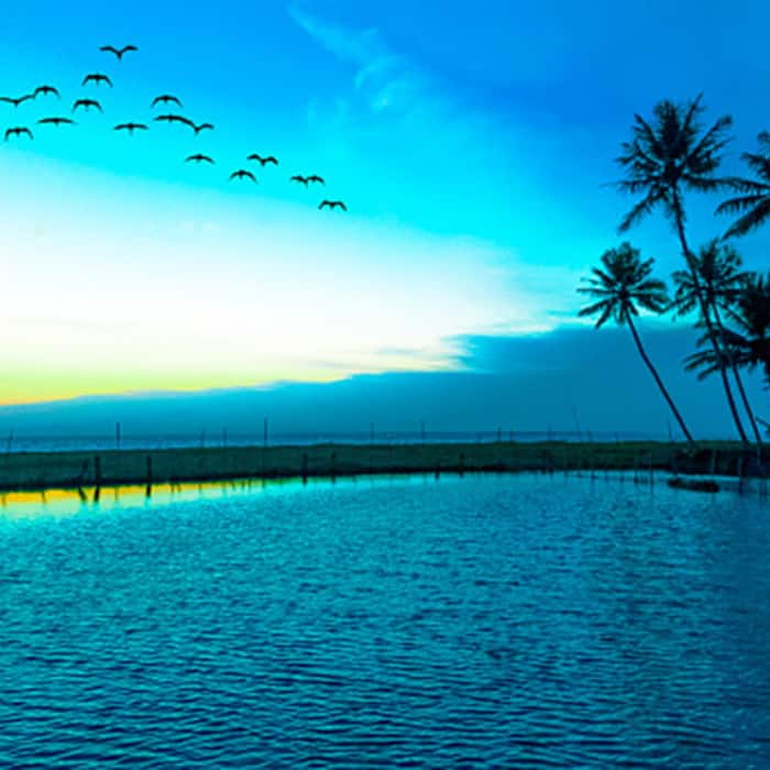 Places to travel in India in August!