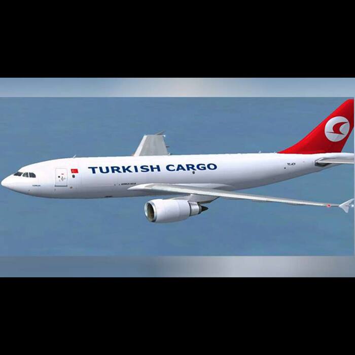 Turkish cargo jet was on its way from Hong Kong to Istanbul