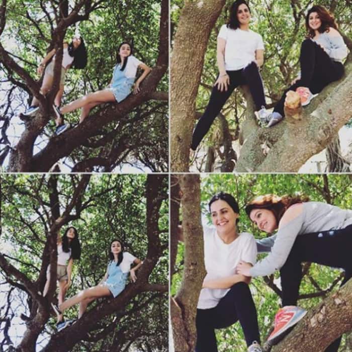 Twinkle Khanna climbing trees in Cape Town