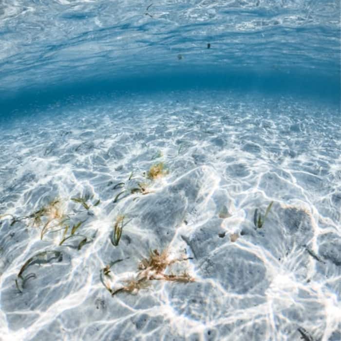 Unlike other seas  it is not surrounded by continents or coastlines 