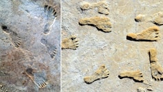 US: Ancient footprints re-write humanity's history in the Americas