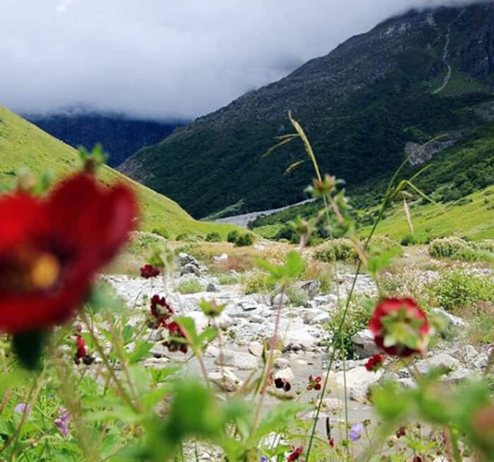 Uttarakhand, Valley of Flowers