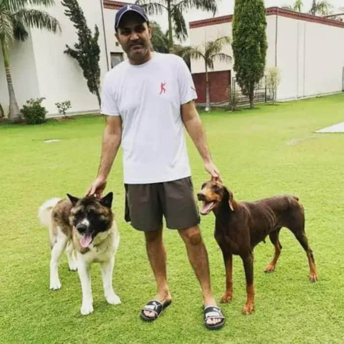 Virender Sehwags Krishna Niwas has massive green lawns for his dogs