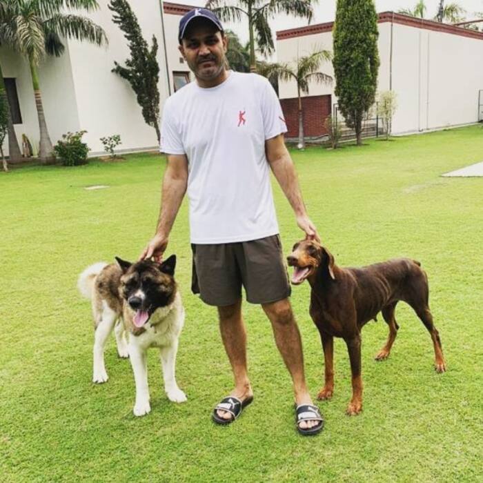 Virender Sehwags luxurious house costs about Rs 130 crore reportedly