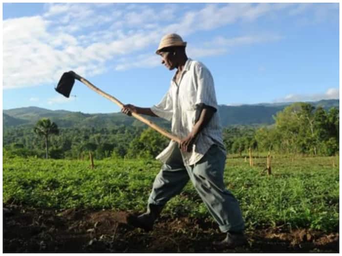 Wealth Doesn   t Ensure Food Independence