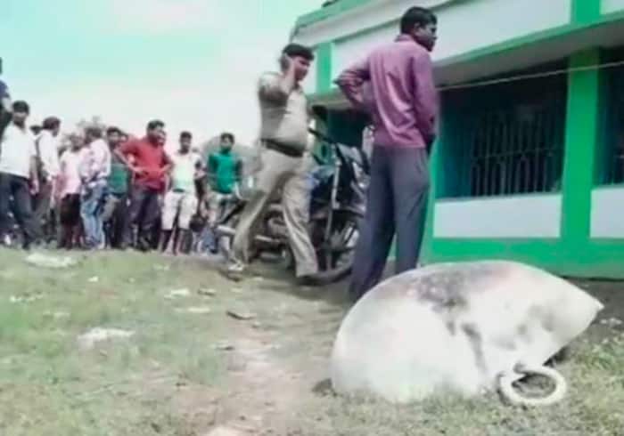 West Bengal: One Dead, Five Injured in Blast at TMC Office in West Midnapores Makarampur