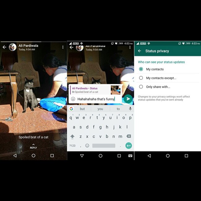 Whatsapp Status feature Check out how to activate, update status and other important things