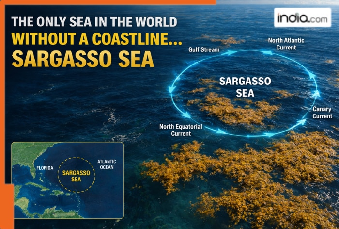 Shoreless Seas The only sea in the world with no coastline, its name is...