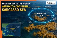 The only sea in the world with no coastline, its name is...