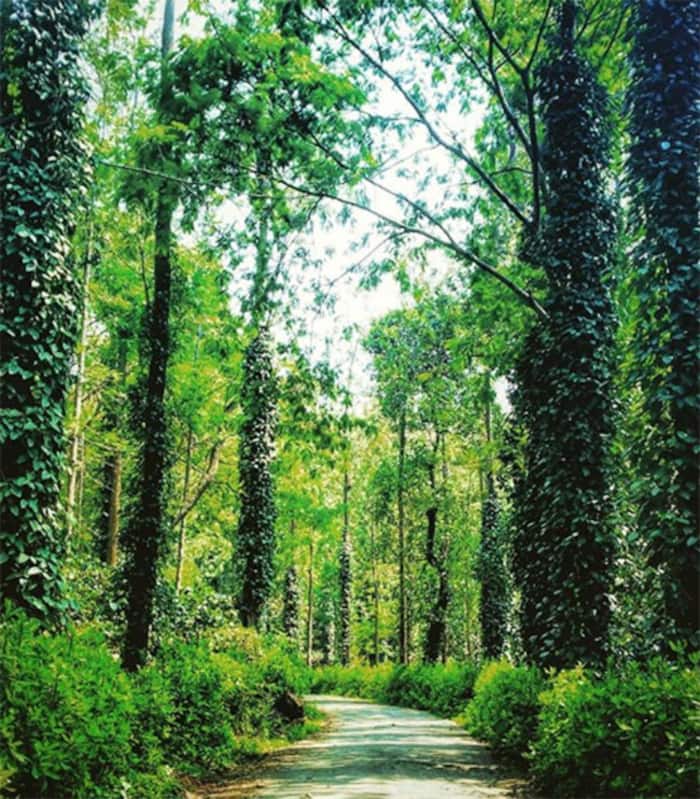 Yercaud