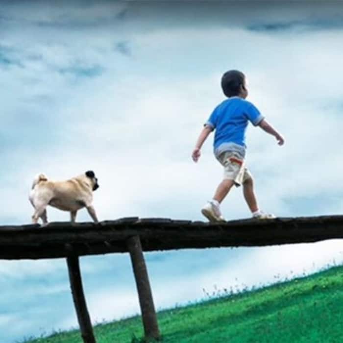 You and I     Hutch  Vodafone 