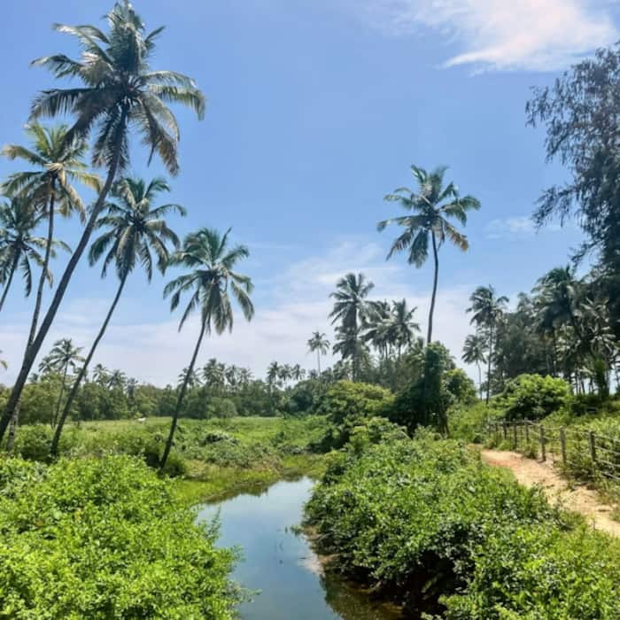 Zuari River  Goa